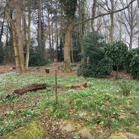 Woodland Retreat, Market Lane, Blundeston, Lowestoft Extérieur photo