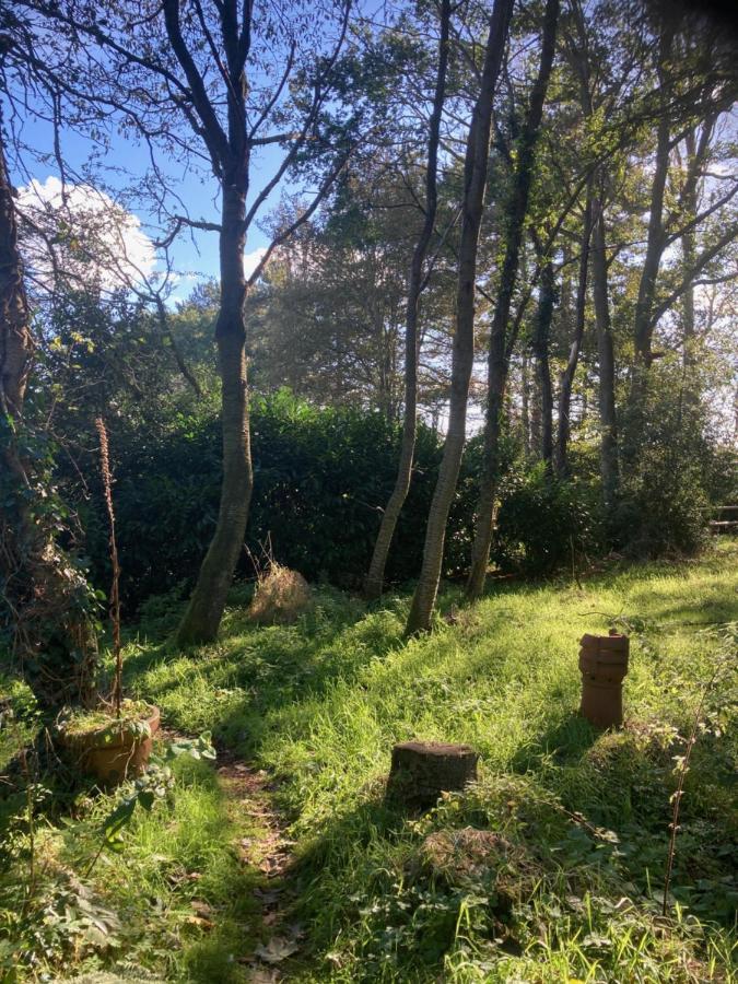 Woodland Retreat, Market Lane, Blundeston, Lowestoft Extérieur photo