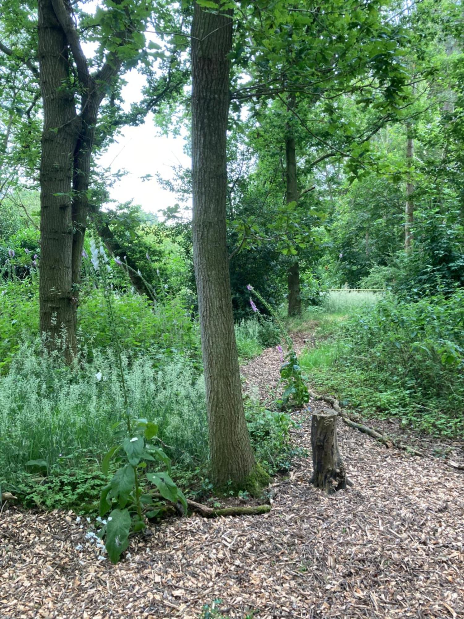 Woodland Retreat, Market Lane, Blundeston, Lowestoft Extérieur photo